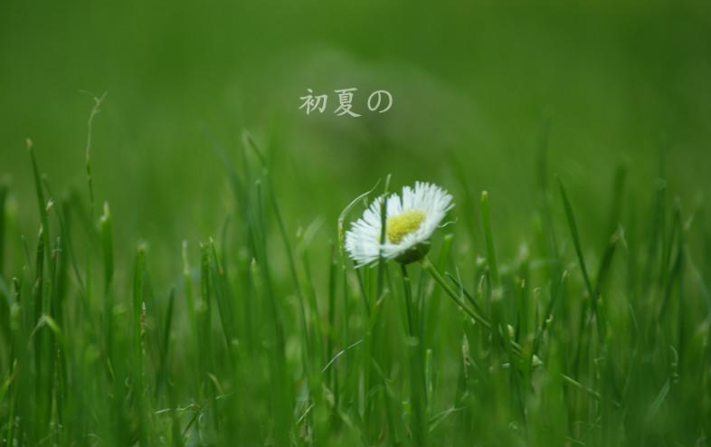古诗词里的首夏，风清日朗 万物可爱-第15张图片-非凡网