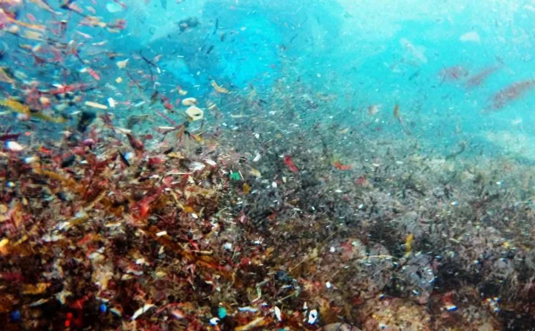 宝马的循环经济 用化学循环塑料拯救马里亚纳海沟