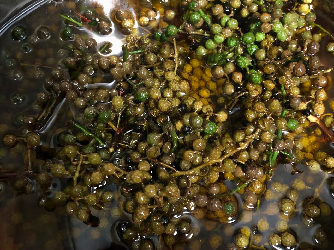 花椒油、辣椒油、猪油、明油的熬制方法，花钱学的教程，免费给你