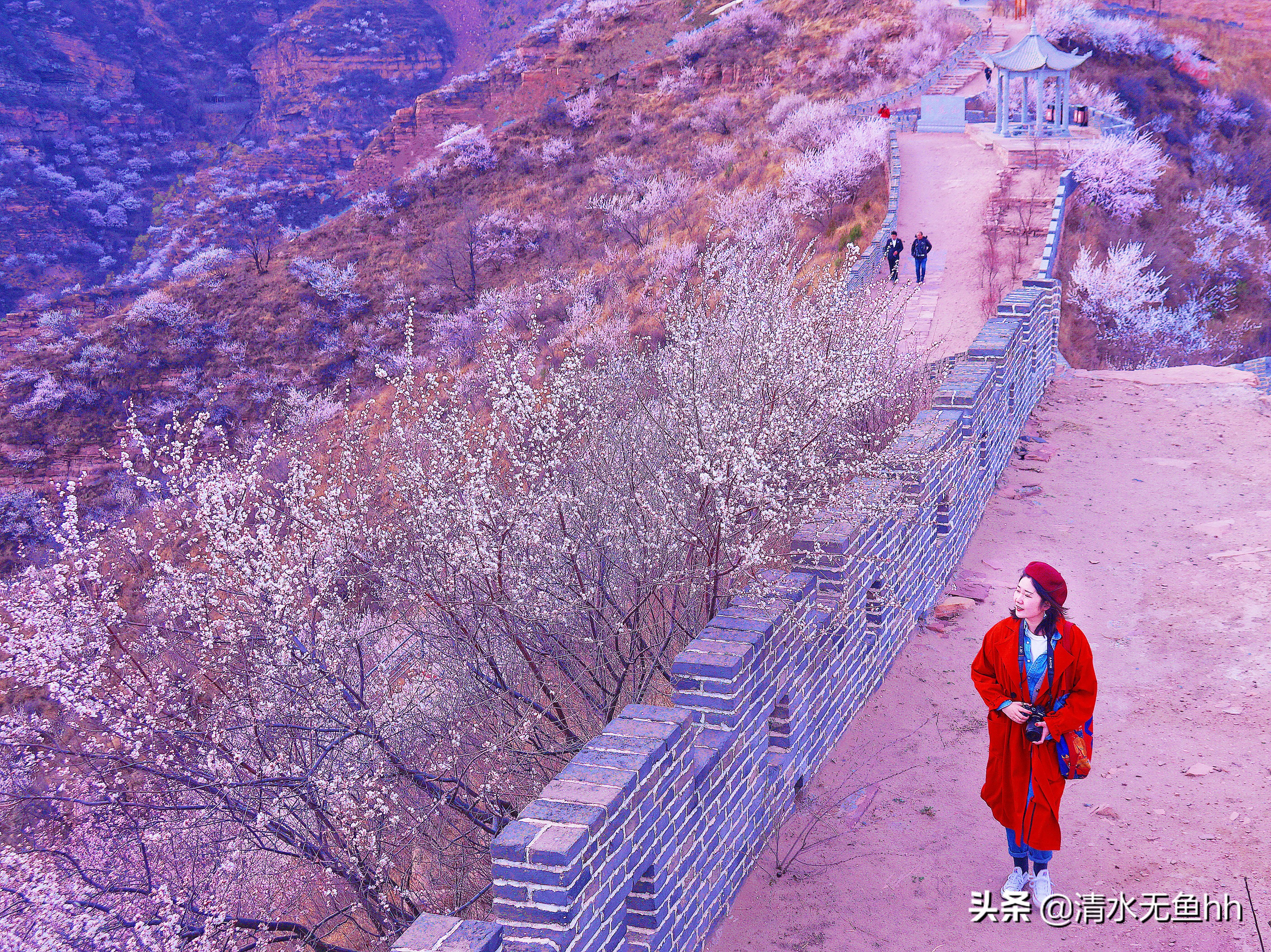 九龙峡，谁把桃花移画中