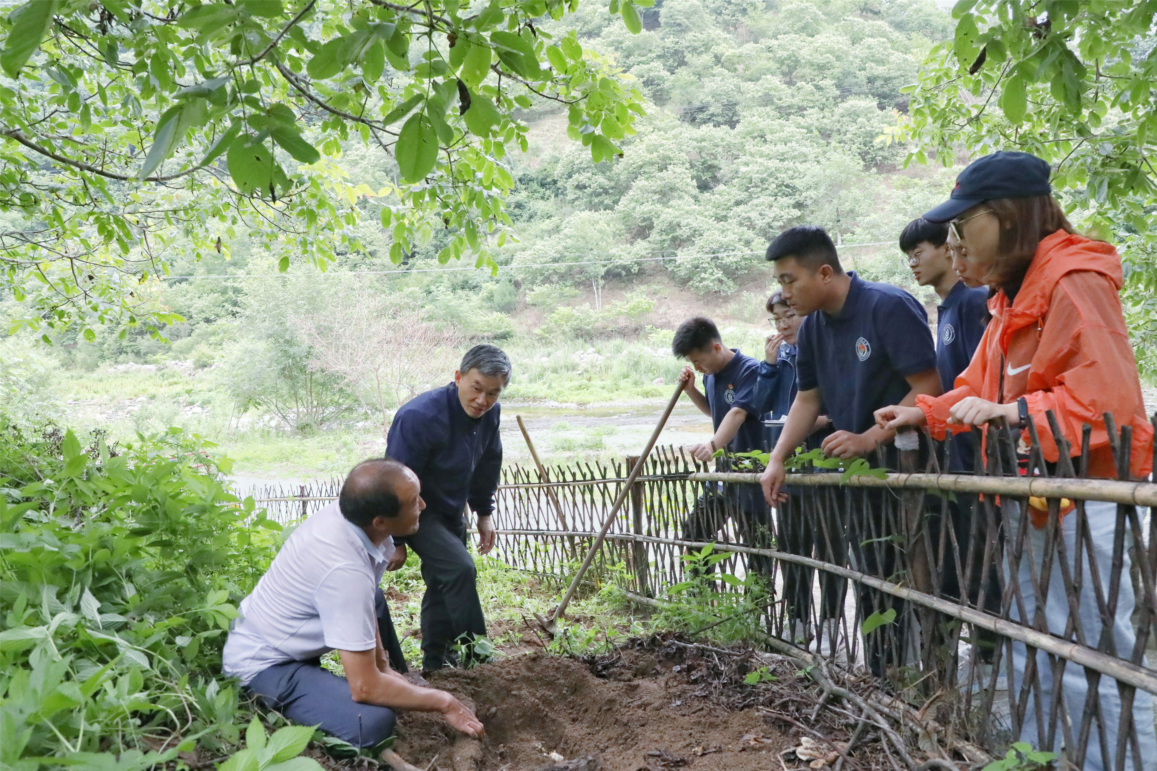 「暑期实践H5特辑」五个一产业助力乡村振兴