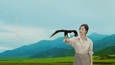 凤凰传奇，终于咸鱼翻身了