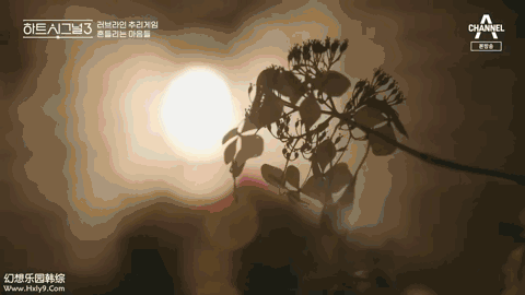 比《非诚勿扰》甜，比《中国新相亲》真，这帮