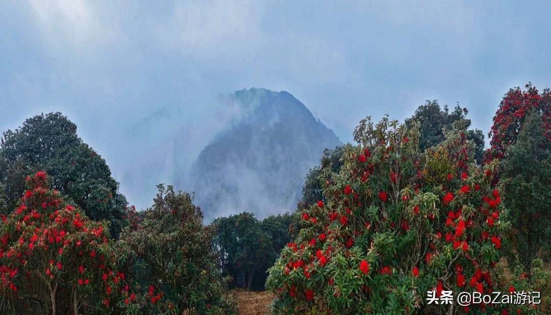 到雲南臨滄旅遊必去的7大景點，你去過幾個？最愛哪個景點？