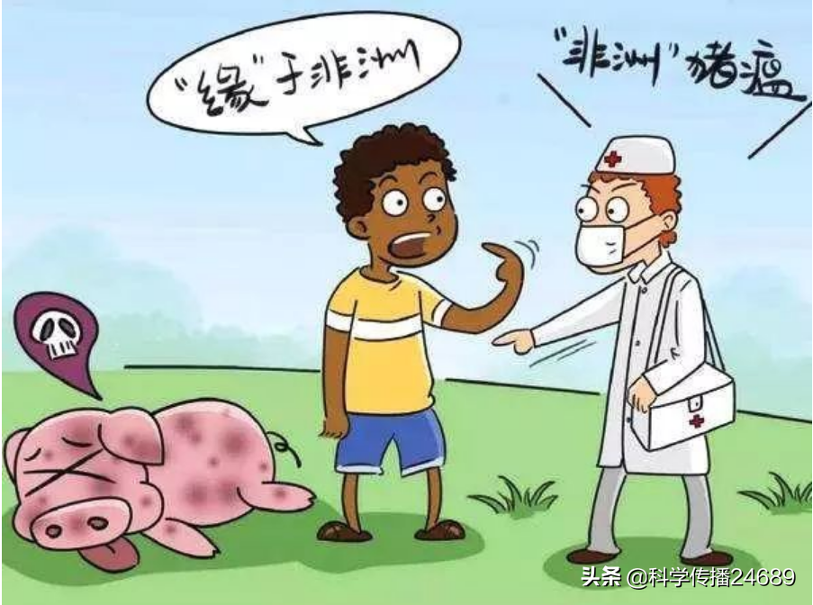 这些事情告诉你，非洲猪瘟可怕吗？