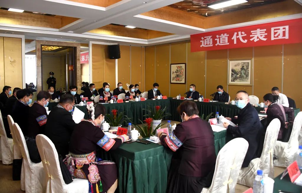 【图片新闻】市五届人大五次会议各代表团举行分组讨论