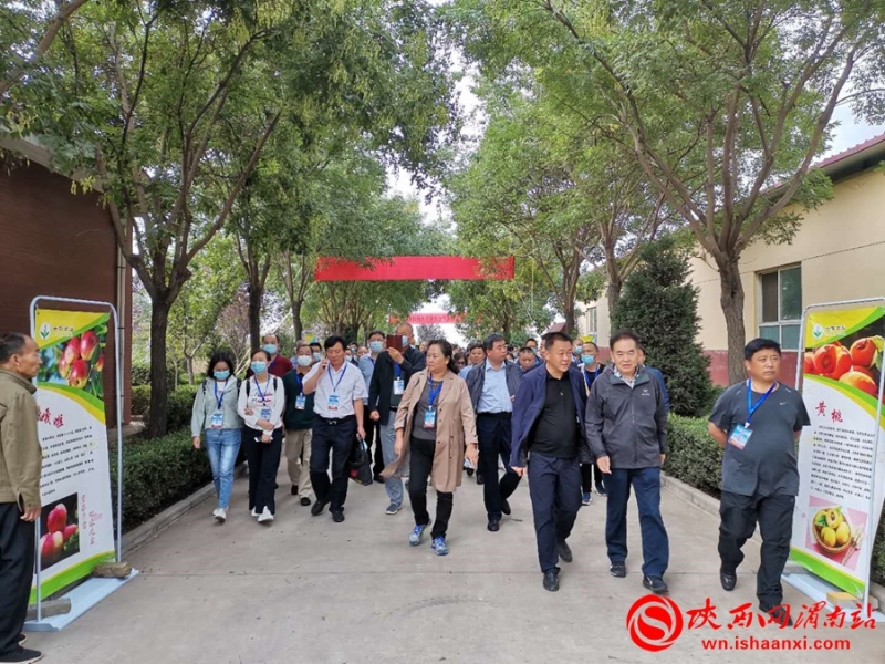 2020年全國葡萄產(chǎn)業(yè)發(fā)展學(xué)術(shù)研討會在合陽舉辦(組圖)