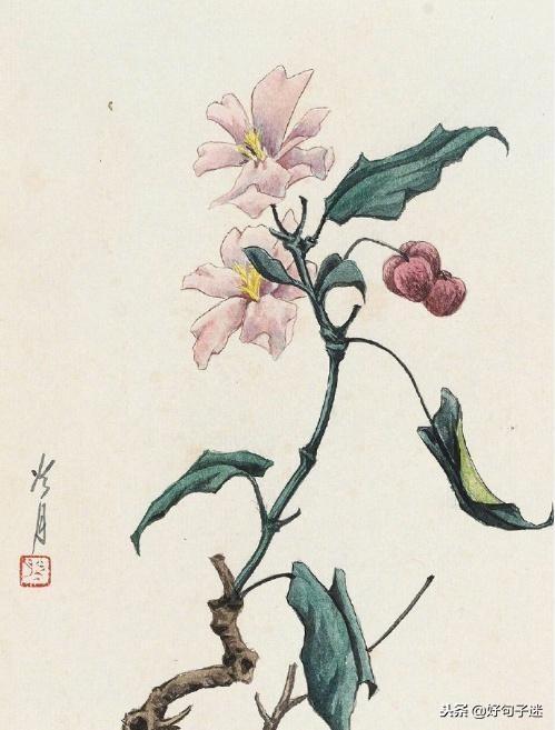 20条有深度的经典语录 前者让我们失望，后者让我们感动图片