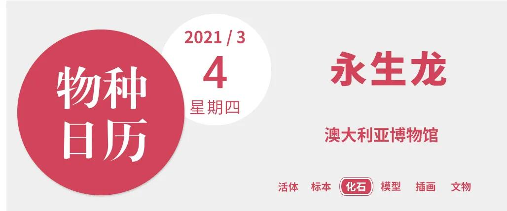 澳大利亚的镇国之宝，居然是一件镶满了宝石的“龙骨”