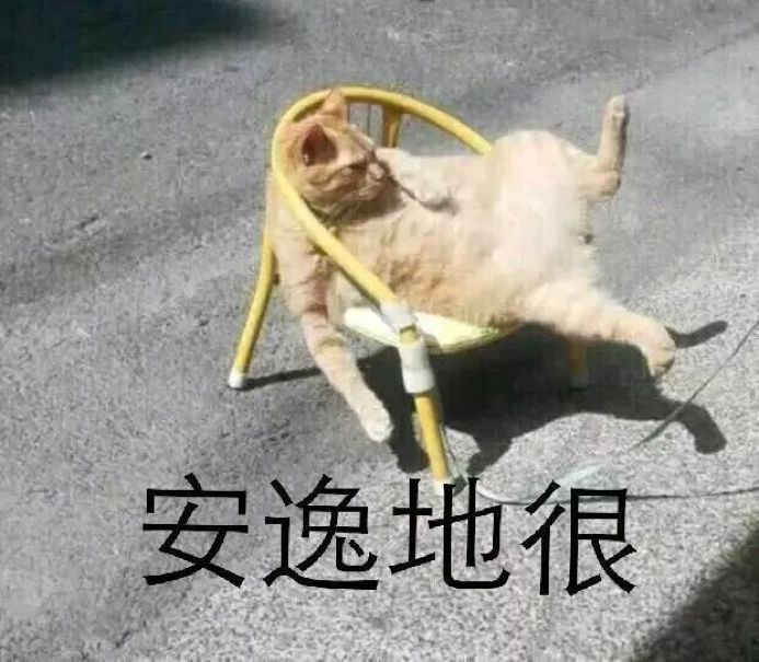 如何选对一款猫砂？