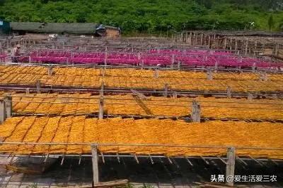 现在能闷声发大财的行业？