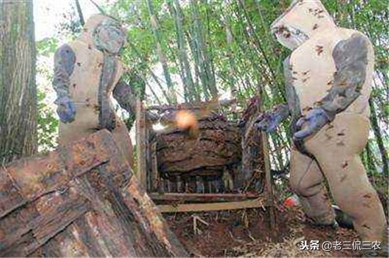4个赚钱门路，专家说每个都很现实！对照一下，哪个更适合你？