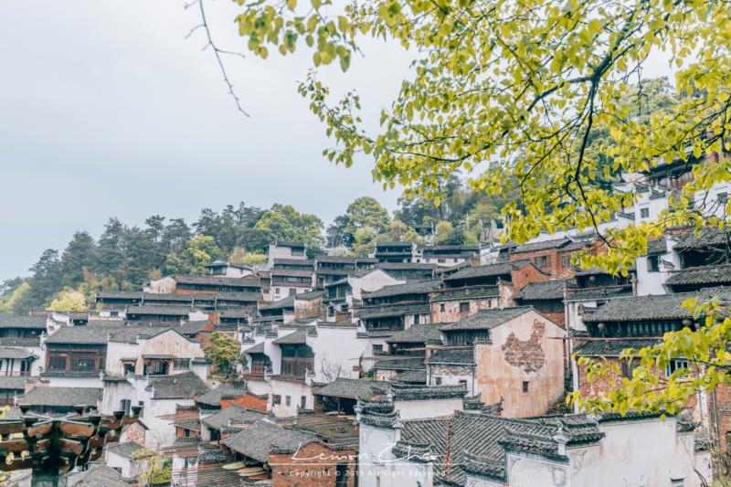 适合中老年人的3种旅行方式，既好玩好看，而且也不累