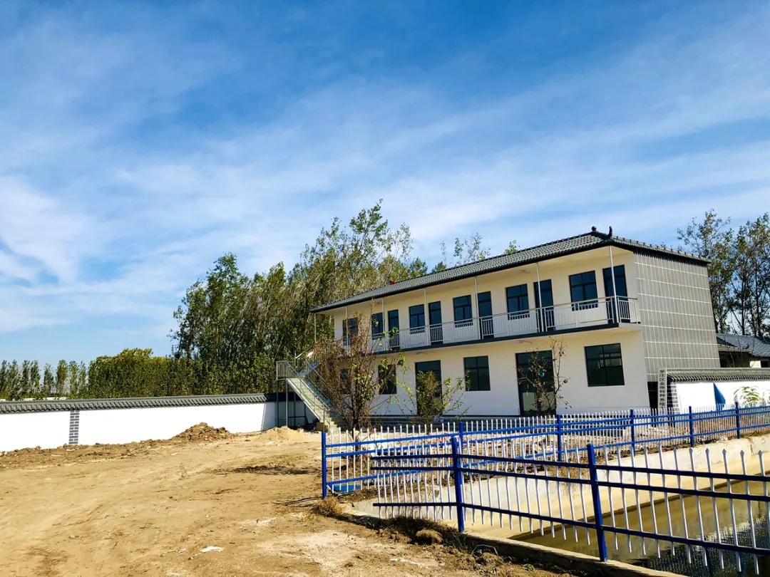 农民日报 | 因地制宜发展特色产业走稳致富路 —山东临沂市驻罗庄区乡村振兴服务2队助力帮扶村发展 农民日报 | 因地制宜发展特色产业走稳致富路 —山东临沂市驻罗庄区乡村振兴服务2队助力帮扶村发展