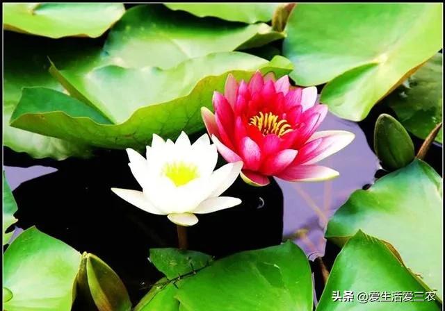 现在能闷声发大财的行业？