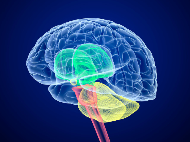 做自媒体常用的工具及网站有哪些？