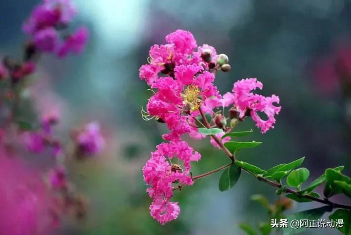 讓梵谷 莫內傾倒的傳奇畫師 他與女兒的故事曾被改編成動畫 Peekme