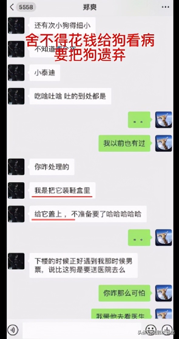 1.6亿？这一次，张恒作为“污点证人”扯掉了娱乐圈的遮羞布