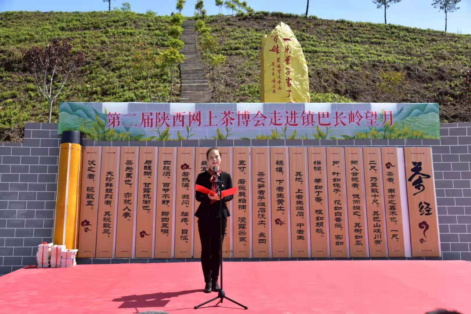 镇巴花园社区“长岭望月”茶叶品牌后面的感人故事
