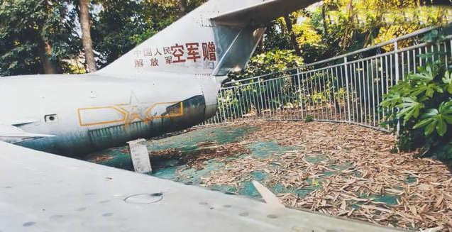 把肖战的名字写在功勋战机机翼上，哪怕是黑粉所为，都不配做人