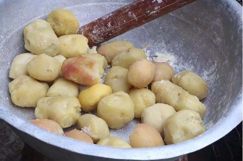 经常把土豆放冰箱，会产生大量毒素？春季如何保证土豆的安全性