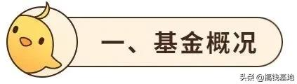 基金测评(1000-46) 国泰金牛创新成长,完胜沪深300,但最近有猫腻