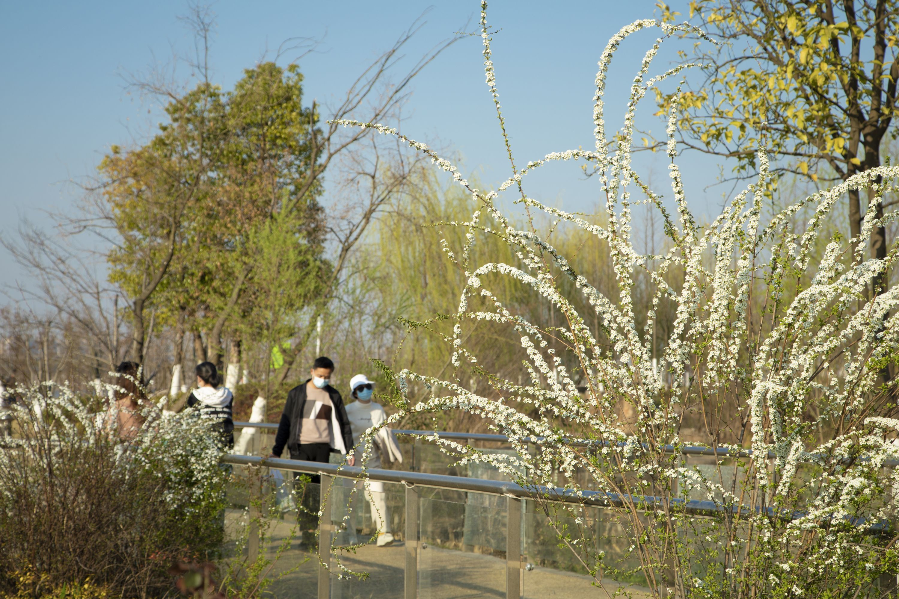 青山江滩，春意浓，觅春光｜城市摄影队