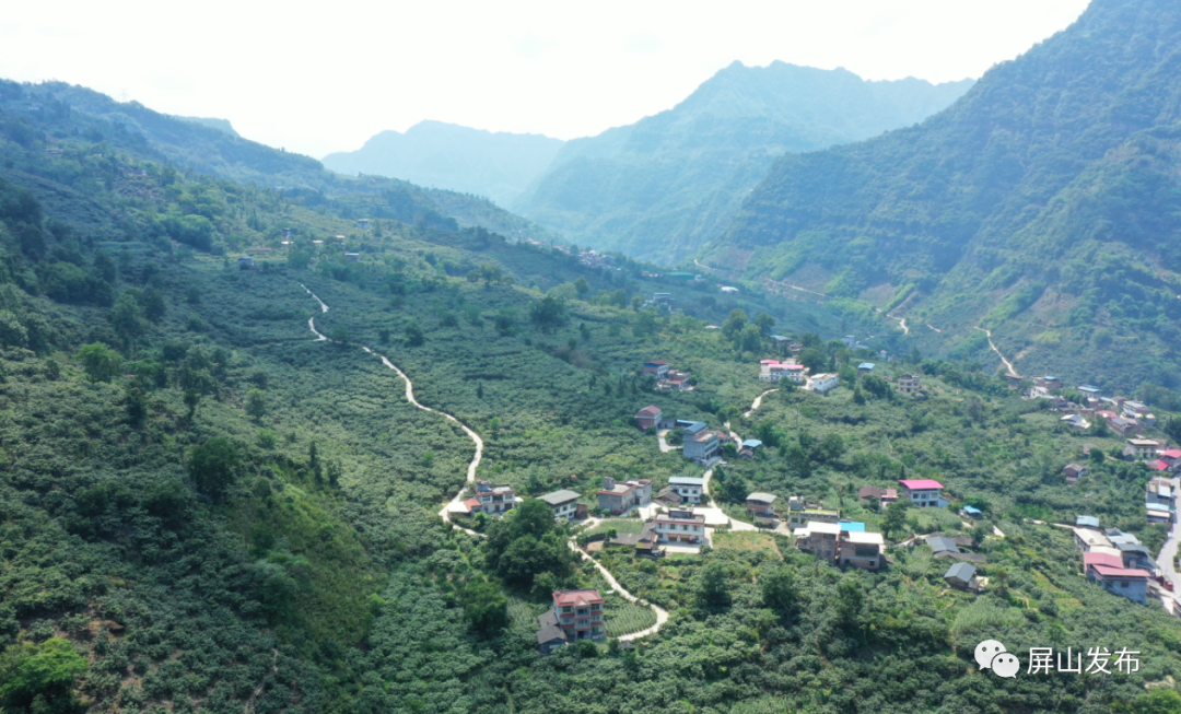 夏溪乡环境整治让村庄迎来发展的春天