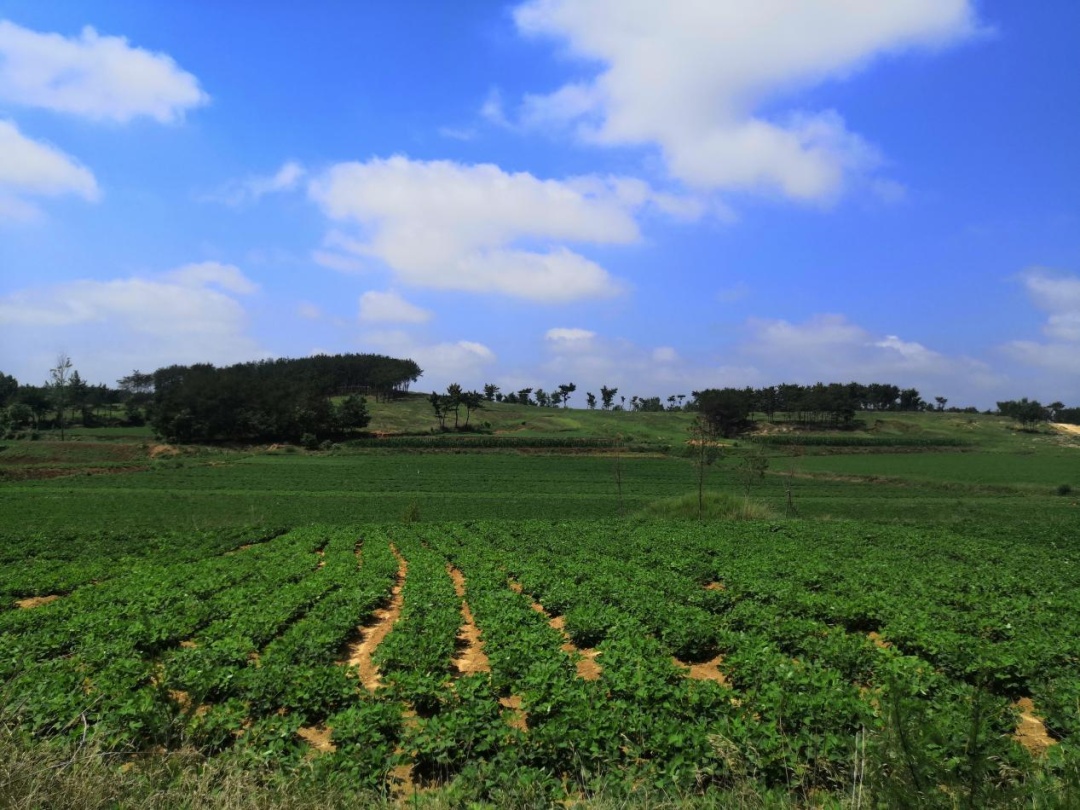 �׽����������Ļ����ν����湥�ԡ��ʺ�����