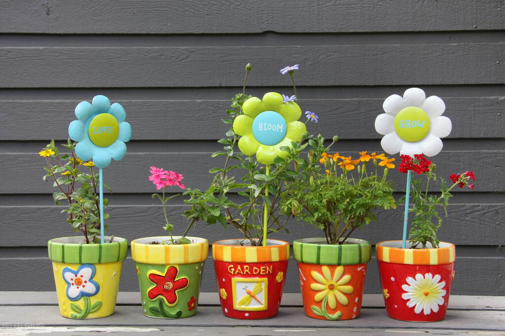 庭院 陽臺的盆栽花園如何定位 欣典小芮先生 Mdeditor