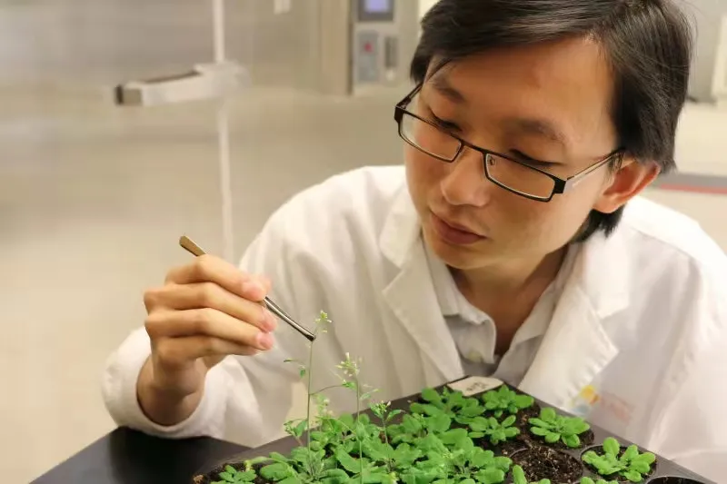 我校理工学院教师科研项目获国家自然科学基金资助