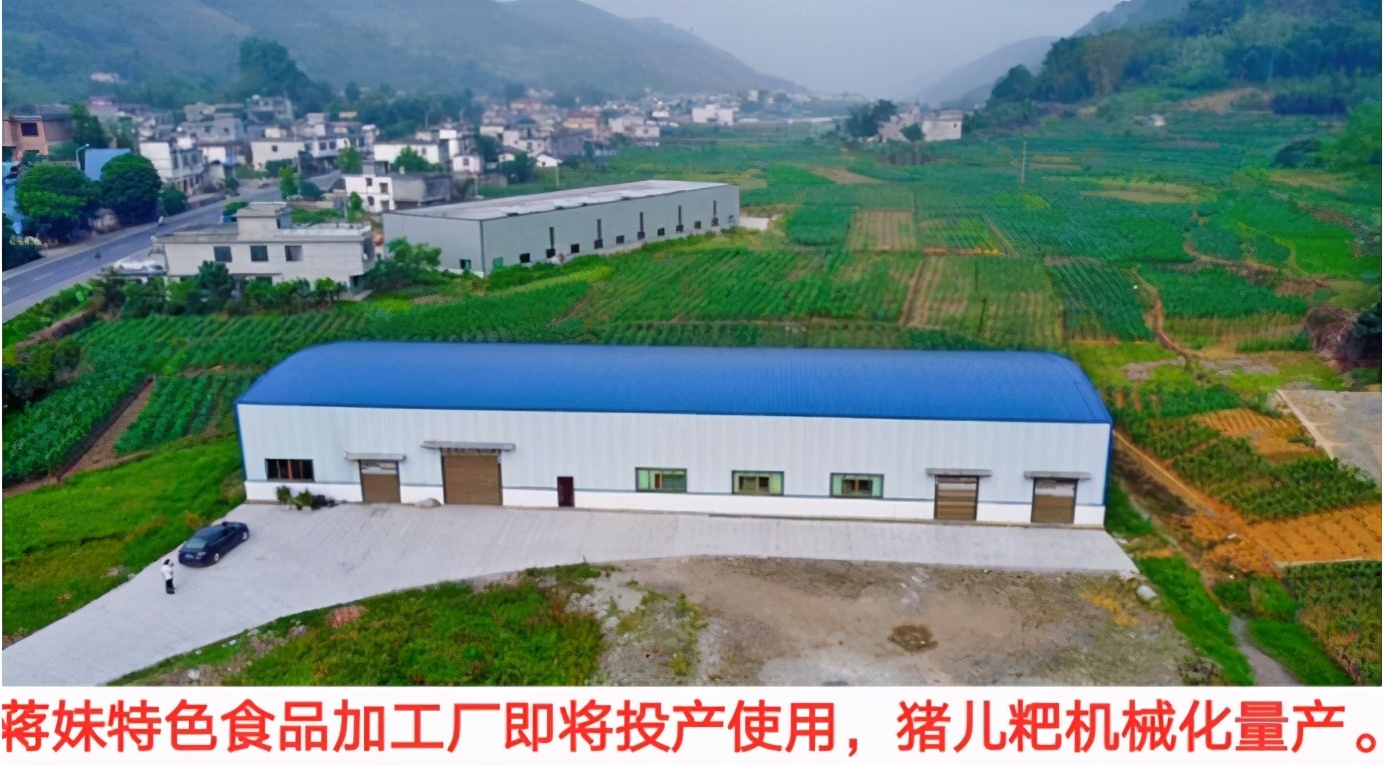 江安县红桥镇：打造农业产业化新样板 现代农特产品集聚核心区