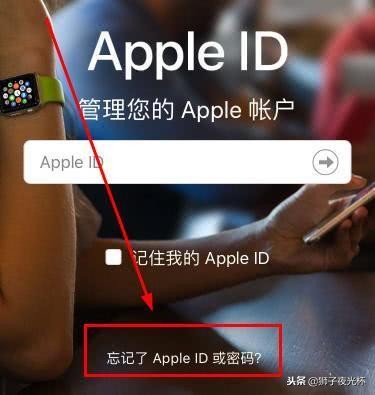 iPhone手机上ID登陆密码忘了该怎么办？三种方式 轻轻松松解决困难