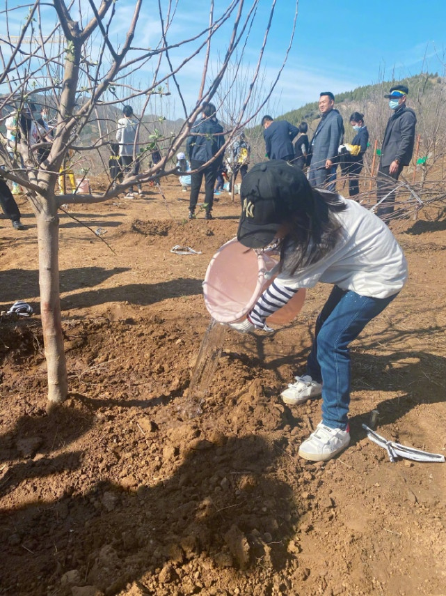 Dong Xuan Pure Brightness takes a daughter to plant tree, 4 years old of small dimple water the individual character that bury earth is independent, 