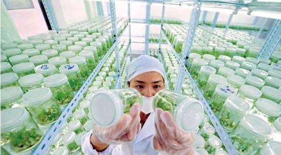 宁可死更多人，但经济不能崩！过去，现在，美