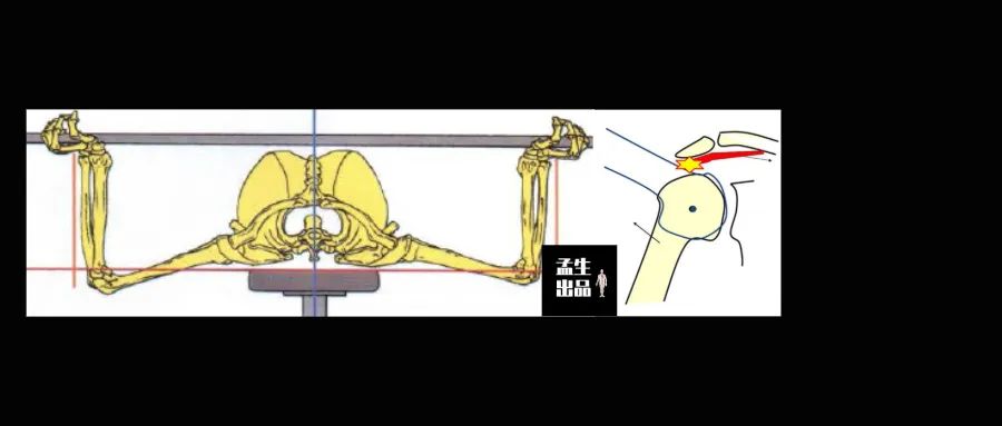 盂肱关节与上肢训练思路