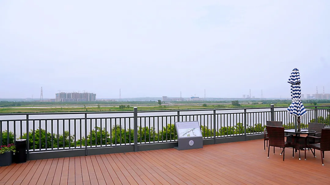 花开烂漫绿树环绕,潮玩绿道享受城市慢生活的好去处