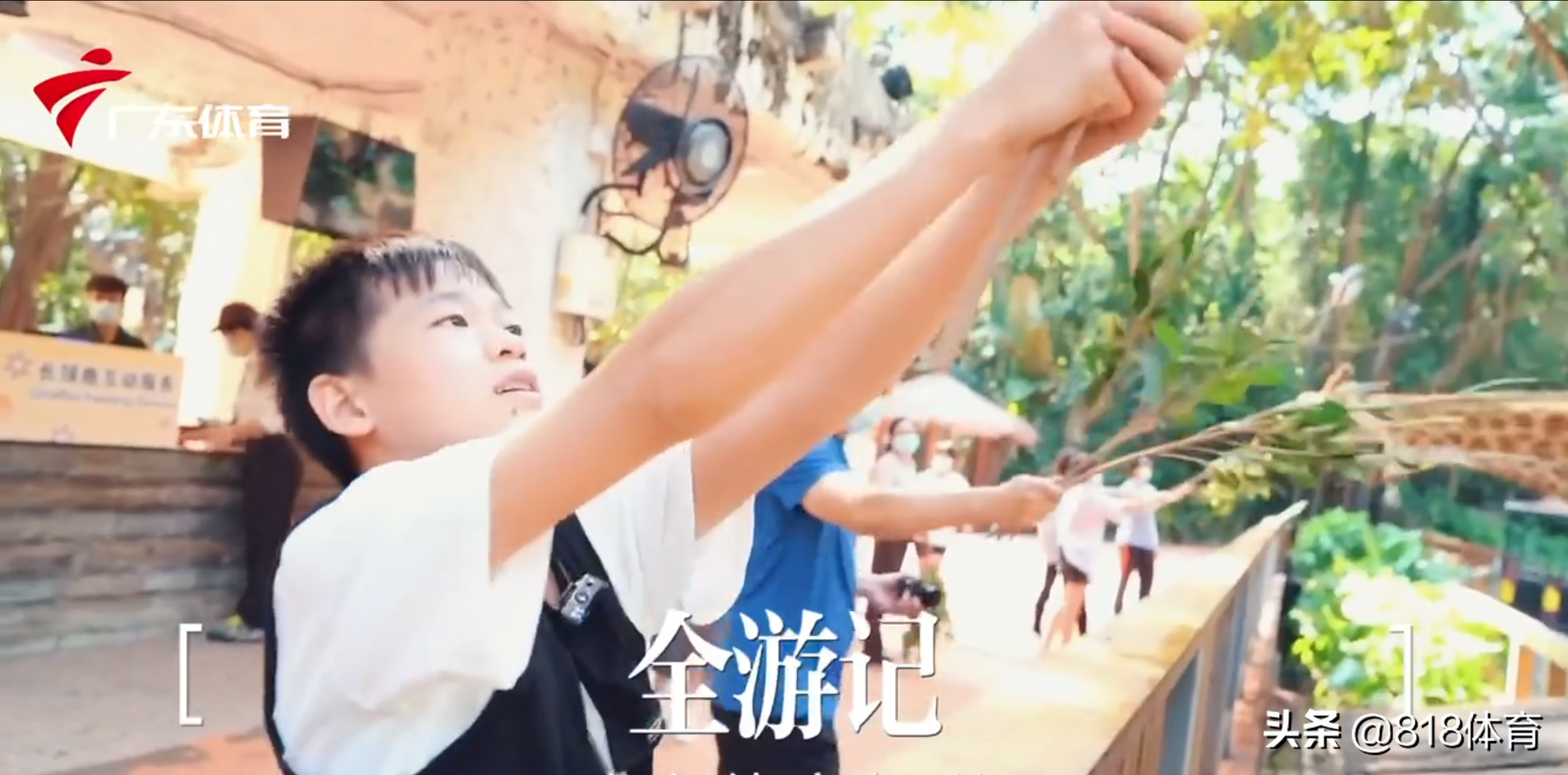 神仙师徒!全红婵动物园喂长颈鹿树叶不得要领,何教练亲自示范教她