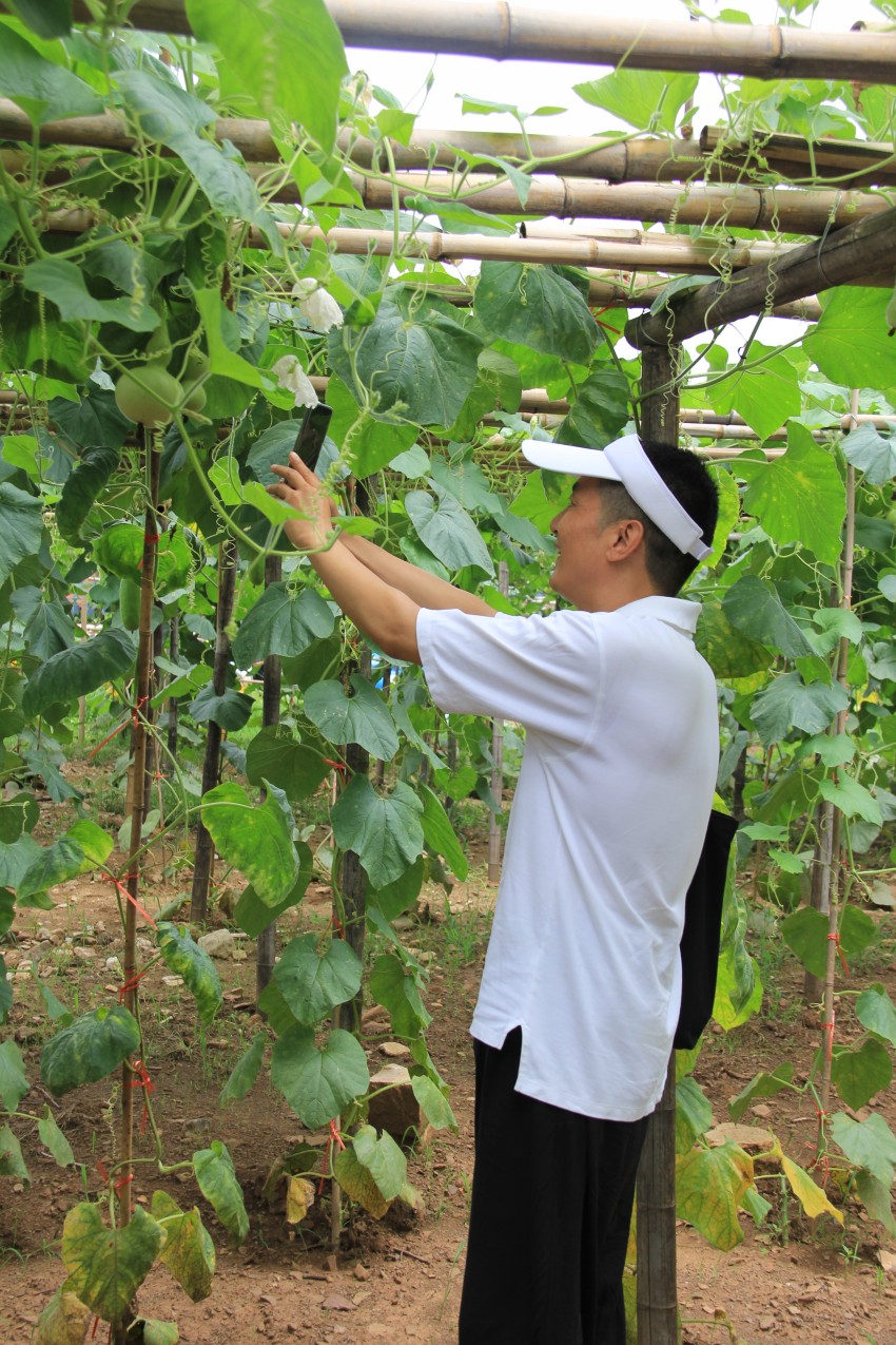 山亭葫芦套 一个美不胜收村庄等你来打卡 环游号