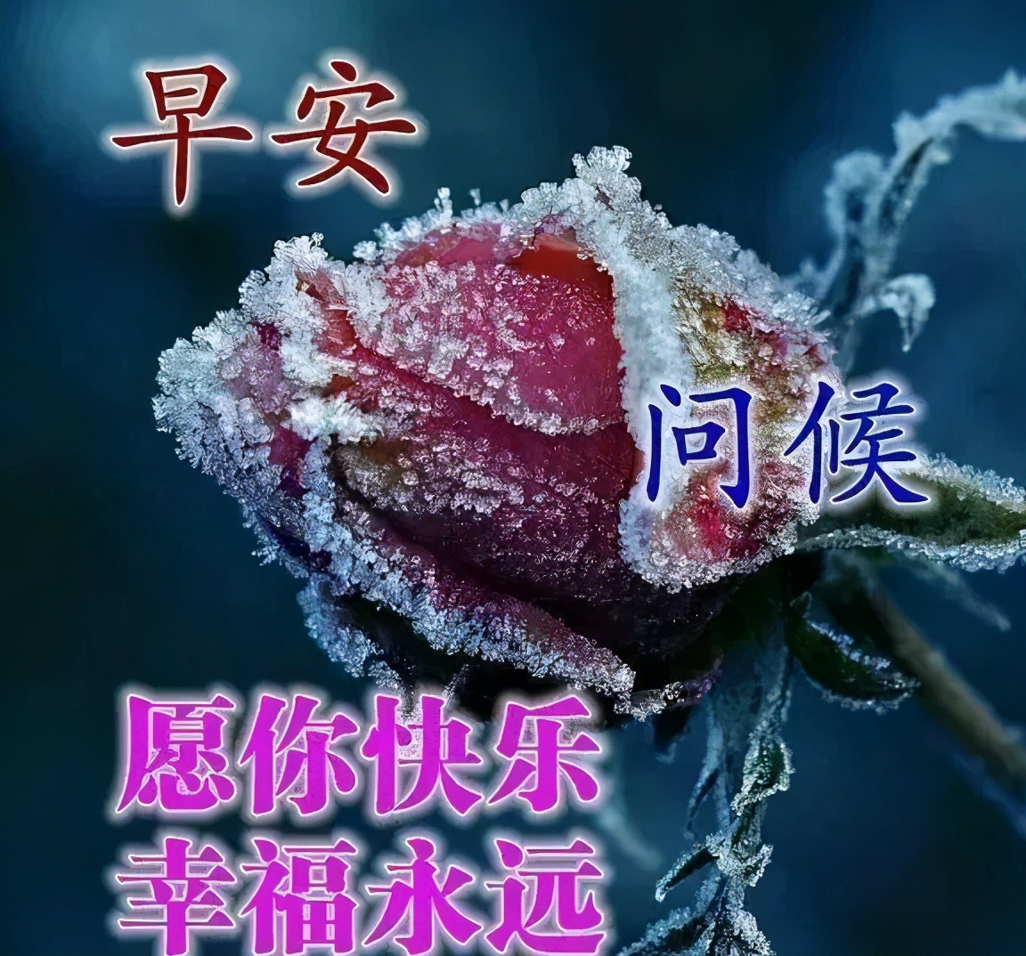 早上好问候语动态表情图文字，微信新的漂亮祝福语图片图片