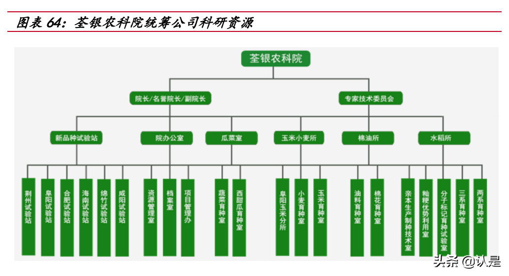 荃银高科专题报告：种业+服务打造产业闭环，借力先正达弯道超车