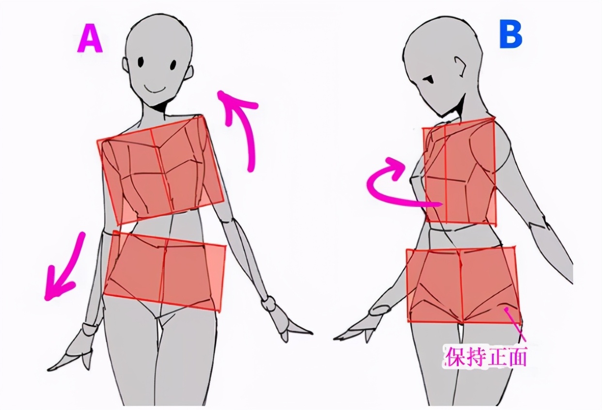 初学者不会画人体结构不可错过的人体绘制技巧