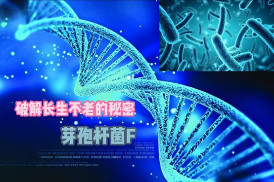 俄罗斯科学家注射“永生细菌”，结果令人震惊，实验者均健康长寿