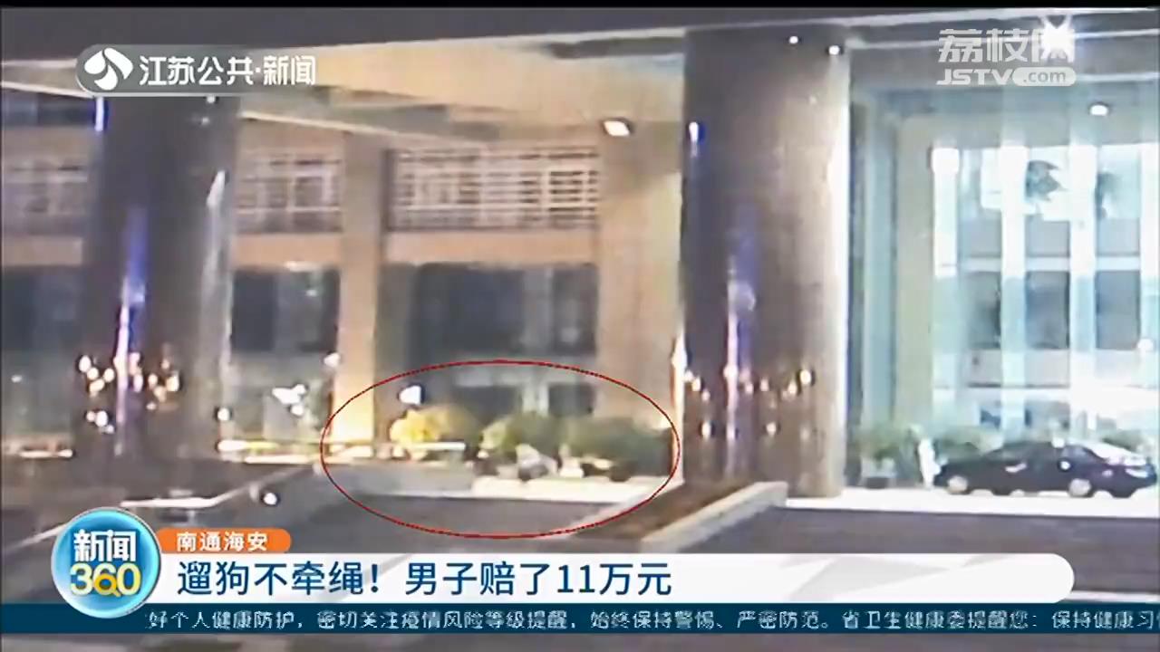 未牵绳德牧袭击路人！狗主人：纯属意外，拒绝赔偿 法院判决赔11万