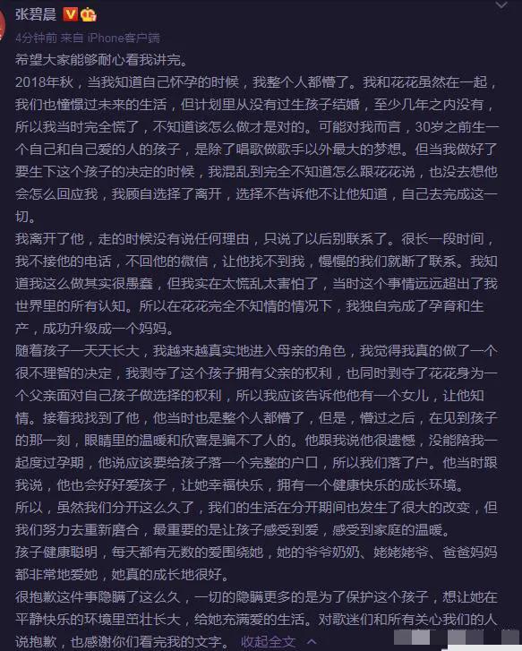 从当红女歌手到单亲妈妈，张碧晨为什么要这样做
