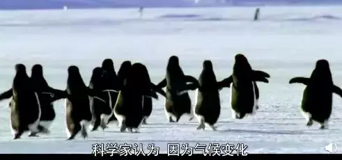 bbc纪录片揭秘气候变化真相:留给人类的时间不多了!| 花边阅读