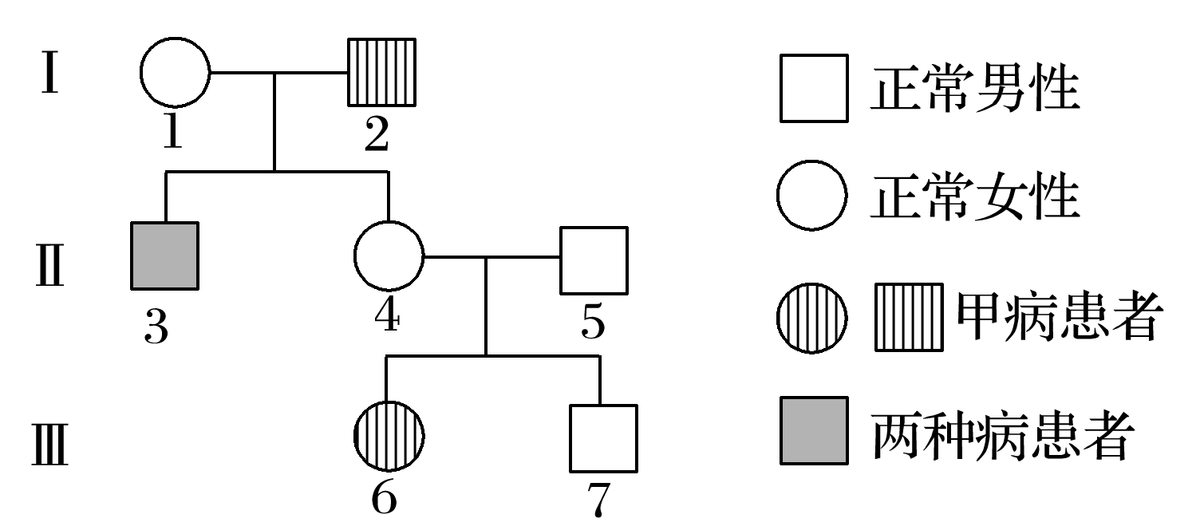 z}6}