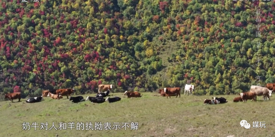 彩蛋不断！这一季《航拍中国》是怎样靠“翻车