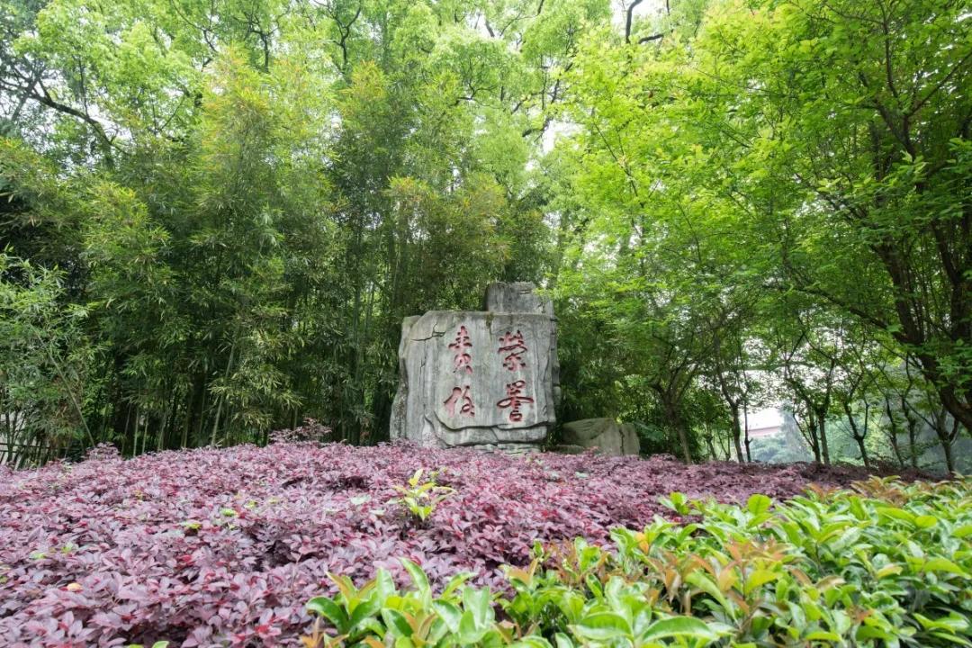 南山苍翠 二外荣光 重庆市作家进校园系列—重庆第二外国语学校