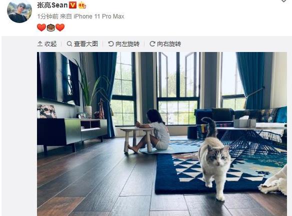 张亮晒照为女儿庆生，谁注意了他豪宅内的东西？意外曝光婚姻现状